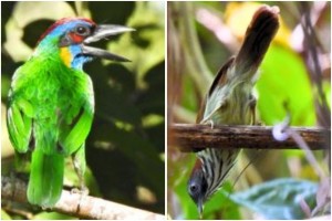 5121E6CD-0FC3-4A65-959F-6C7C9160FC89