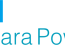 NPS Logo